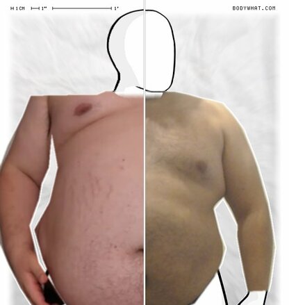 Torso Comparison