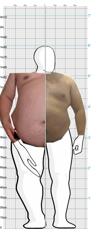 Full Size Comparison