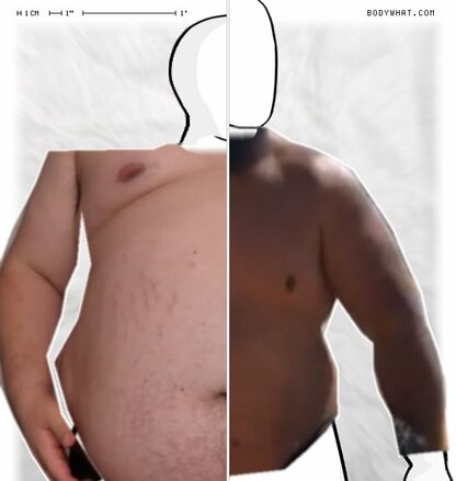 Torso Comparison