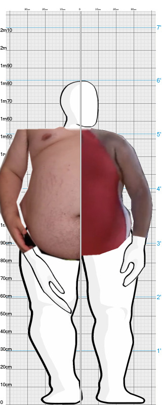 Full Size Comparison