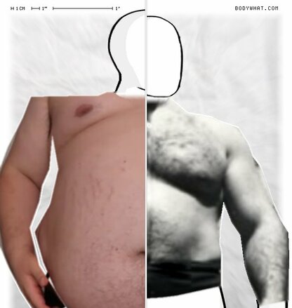 Torso Comparison