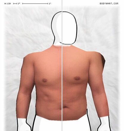 Torso Comparison