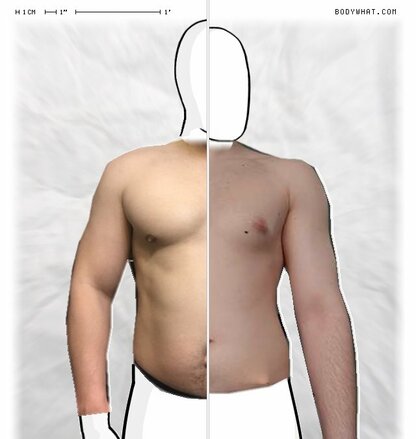 Torso Comparison