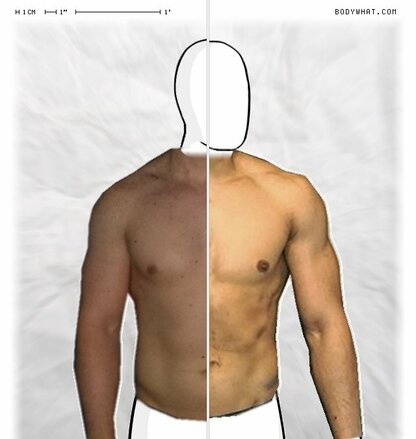 Torso Comparison