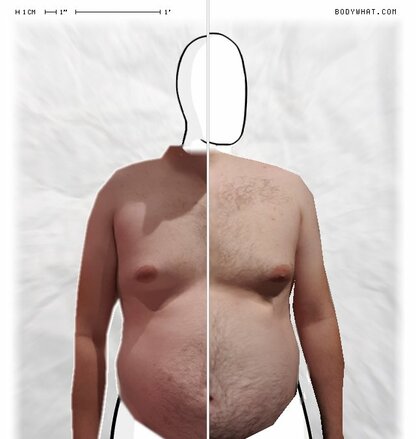 Torso Comparison