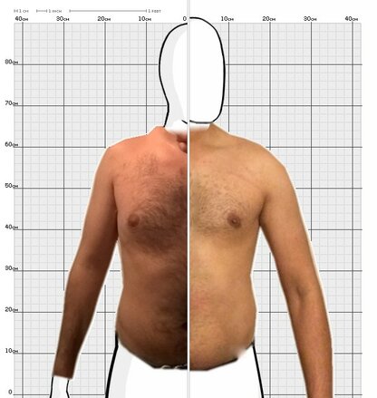 Torso Comparison