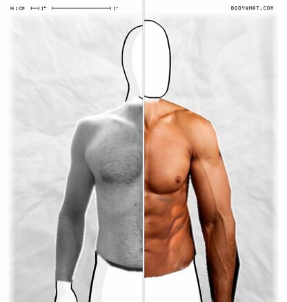 Torso Comparison