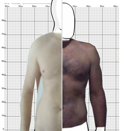 Torso Comparison