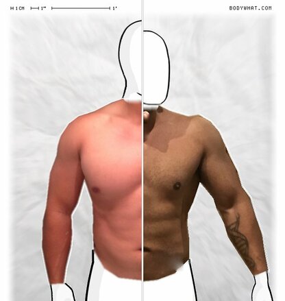 Torso Comparison