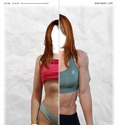 Torso Comparison