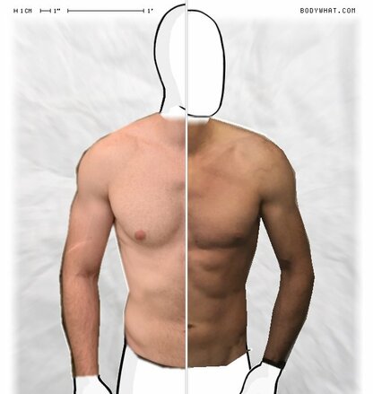 Torso Comparison