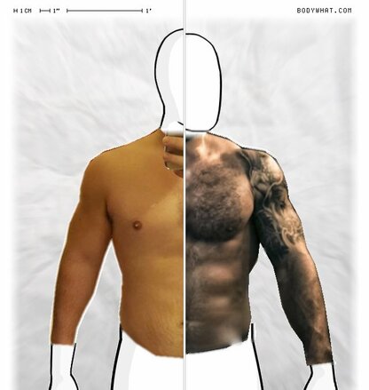 Torso Comparison