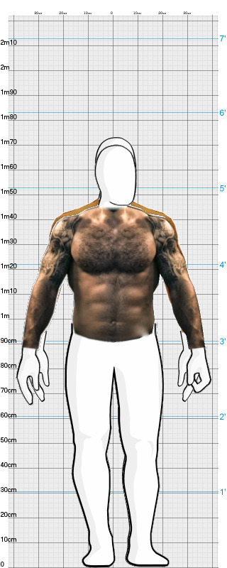 Full Size Comparison