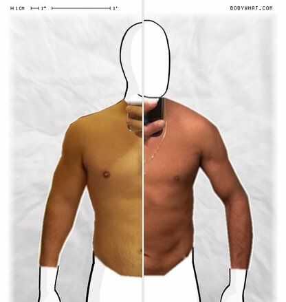 Torso Comparison