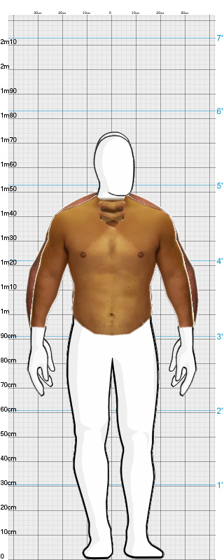 Full Size Comparison