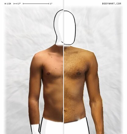 Torso Comparison
