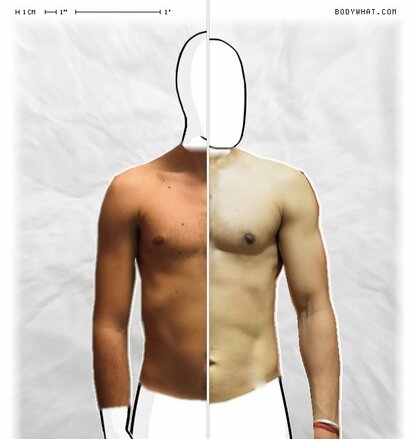 Torso Comparison