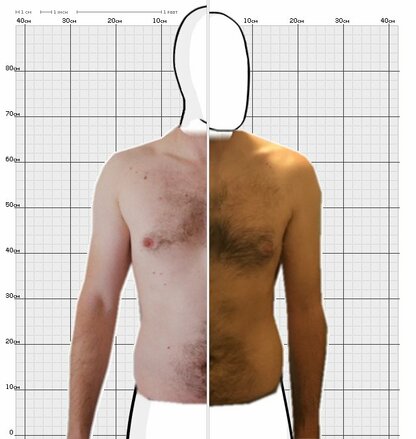 Torso Comparison