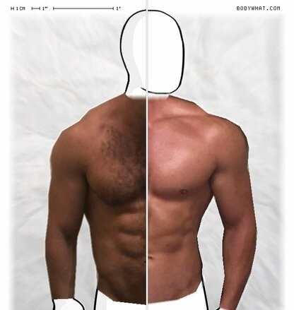 Torso Comparison