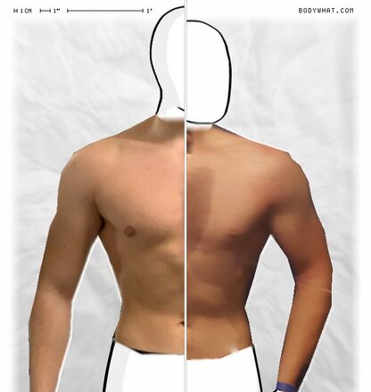 Torso Comparison