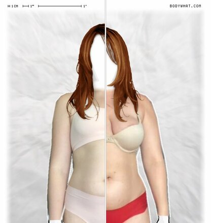 Torso Comparison