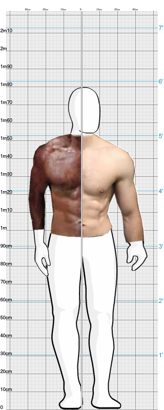 Full Size Comparison