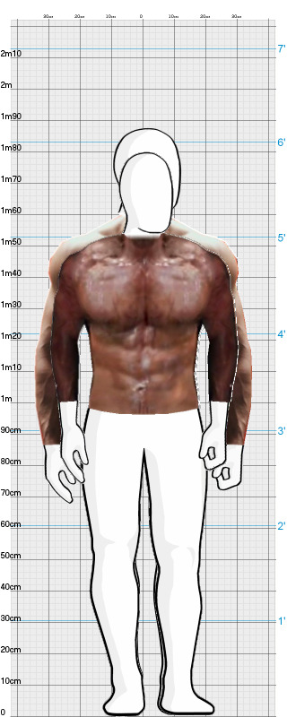 Full Size Comparison