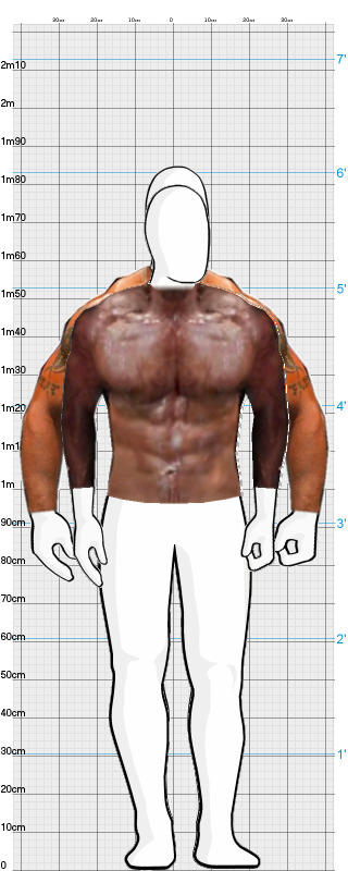 Full Size Comparison