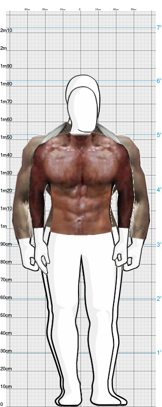 Full Size Comparison