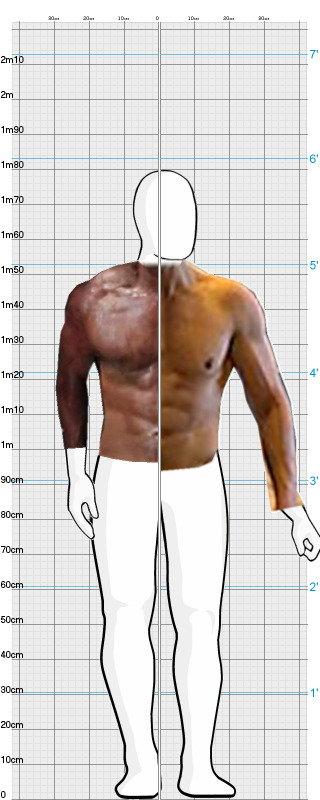 Full Size Comparison