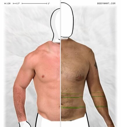 Torso Comparison