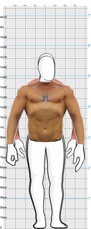 Full Size Comparison