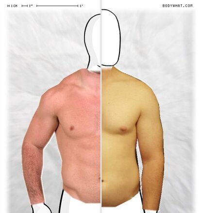 Torso Comparison