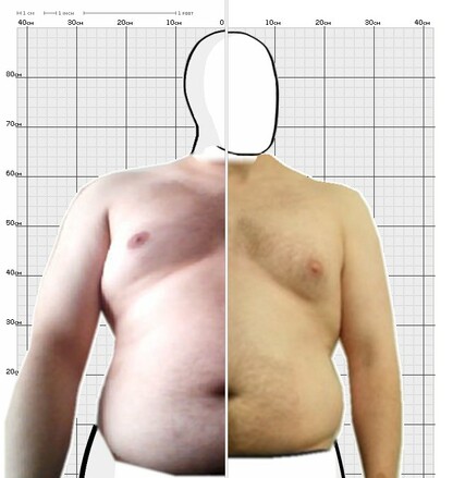 Torso Comparison