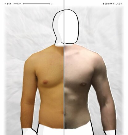 Torso Comparison