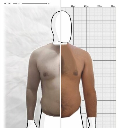 Torso Comparison