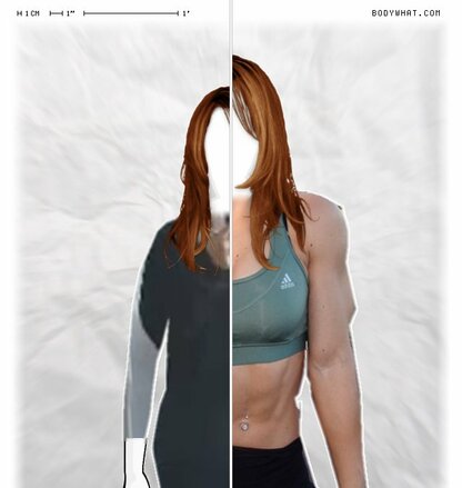 Torso Comparison