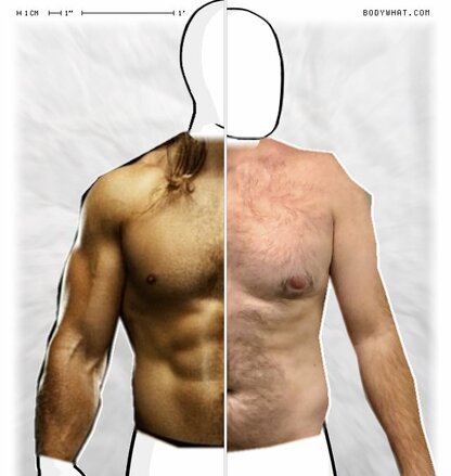 Torso Comparison