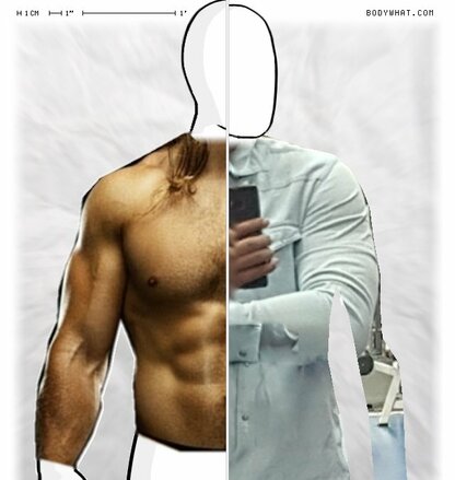 Torso Comparison