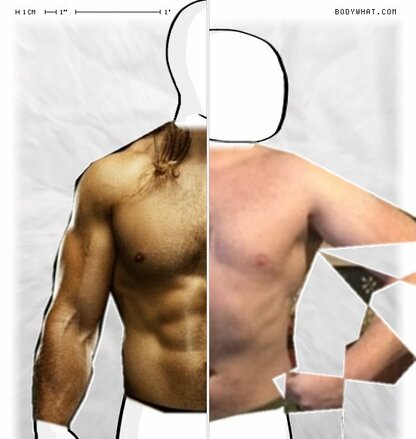 Torso Comparison