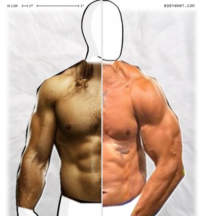 Torso Comparison