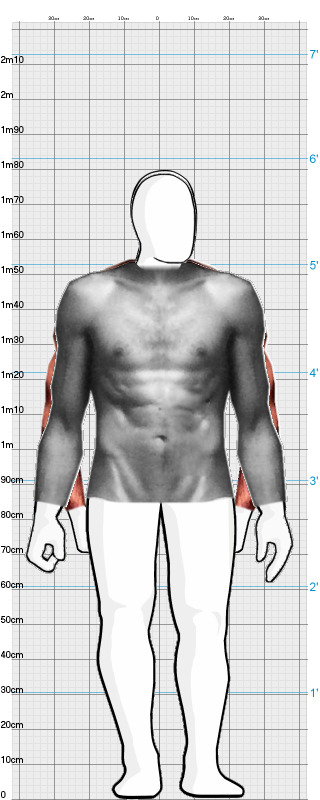 Full Size Comparison