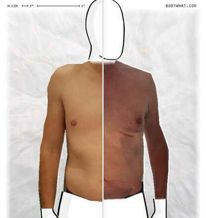 Torso Comparison