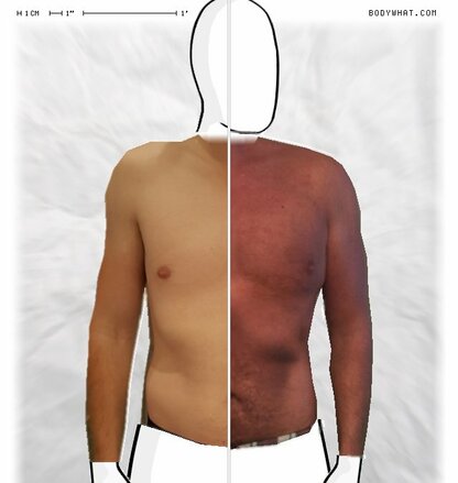 Torso Comparison