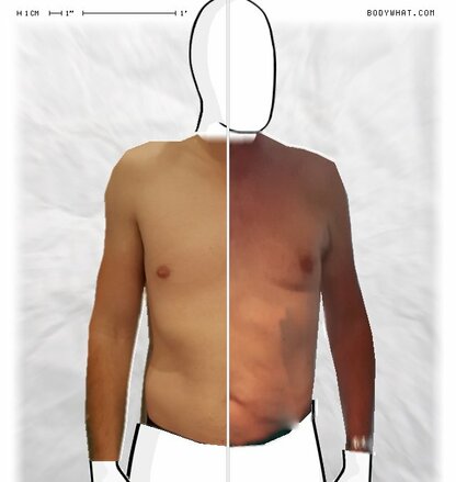 Torso Comparison