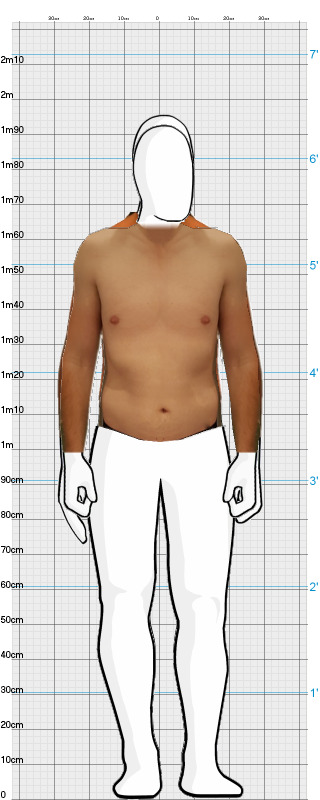 Full Size Comparison