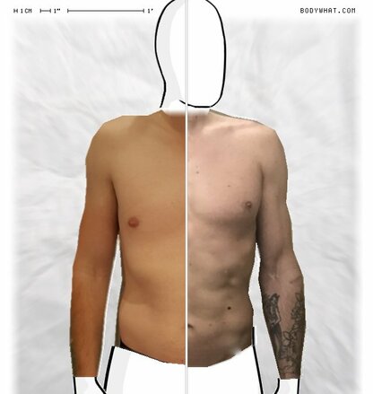 Torso Comparison