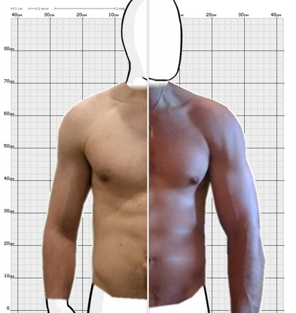 Torso Comparison