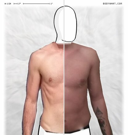 Torso Comparison