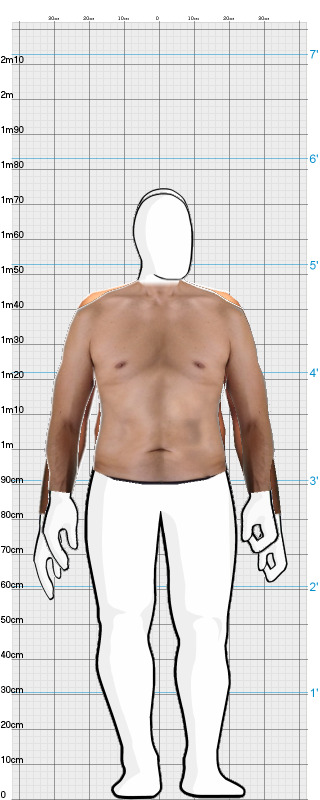 Full Size Comparison